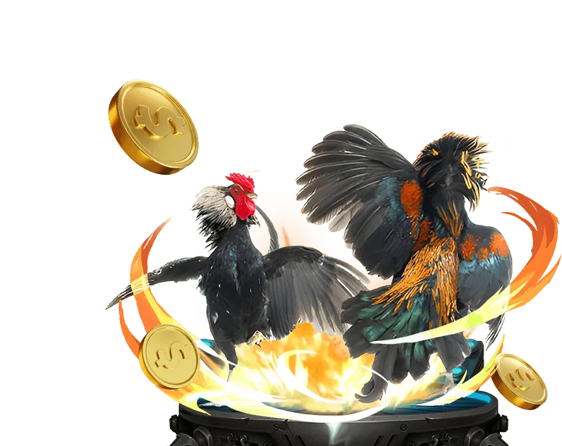 Các loại kèo cược đá gà qh88