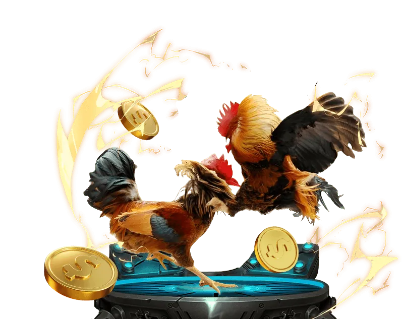 Tổng quan về đá gà trực tuyến qh88